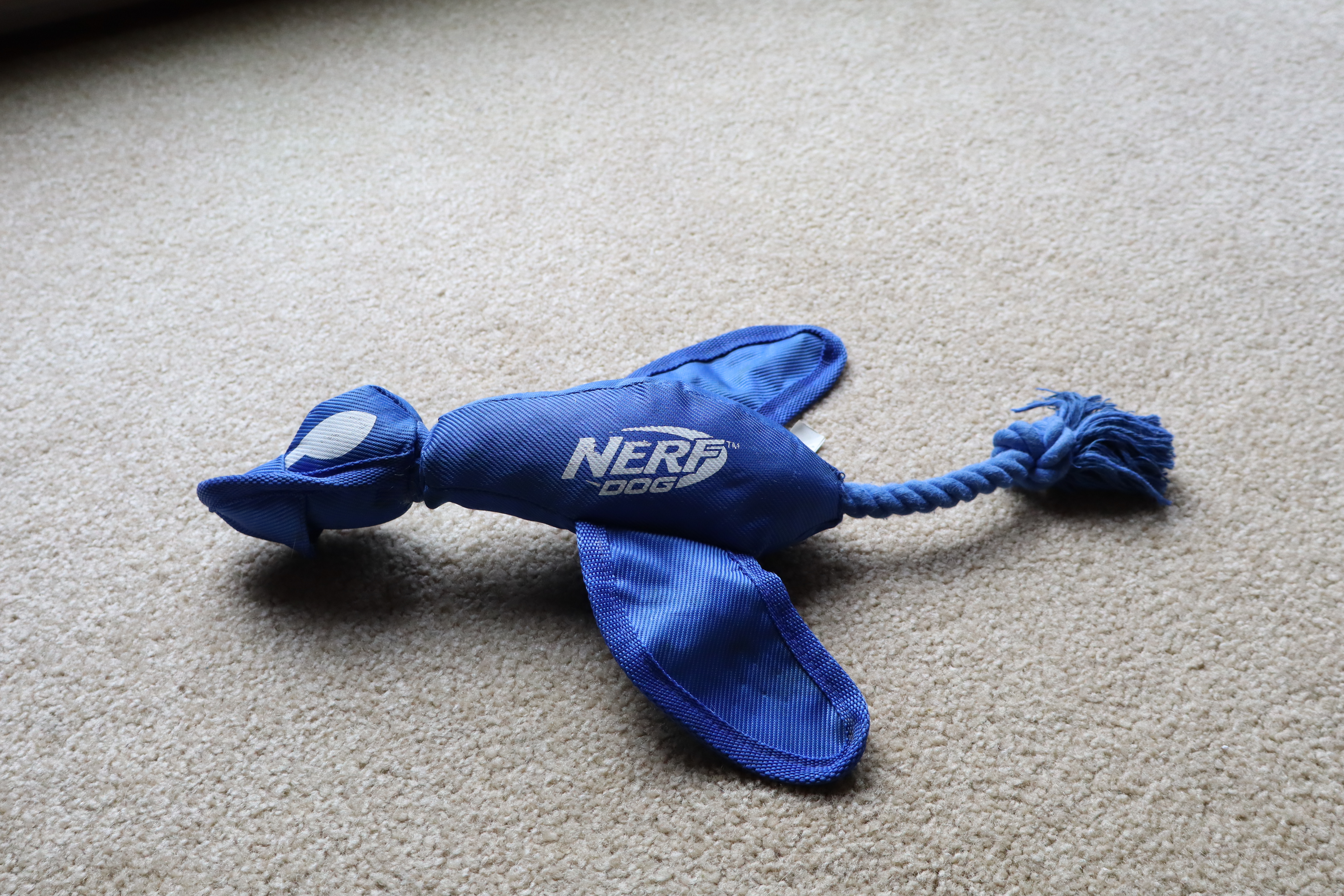 Tucker's favorite toy!