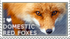 I <3 Foxes!
