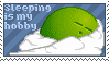Sleeping is my hobby.