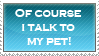 I talk to my pet.